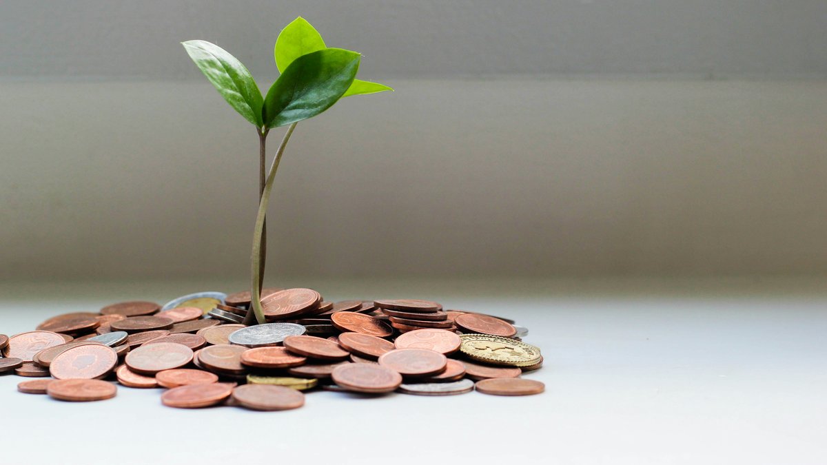 Conference Attendance Approvals and Budget Planning